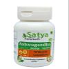 Ashwagandha Forte Capsules 500 mg. 60 Veg. Capsule | Ashwagandha (Withania Sominfera) Extract Capsules for Men and women | Ayurvedic Herbal Supplement/Remedies | 10:1 Forte (1 Bottle of 60 Capsules) view 1