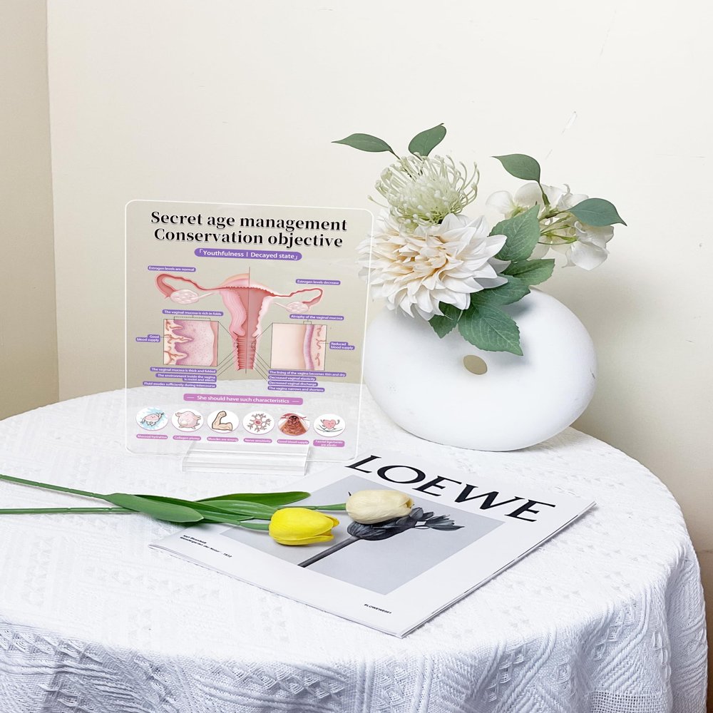 NineLife Basics Women's Age Management Poster, Menstrual Cycle Chart, Pregnancy & Menopause Awareness, Birth Control Stickers