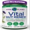 Vital Planet - Vital Gut Renew Powder Supplement for Leaky Gut Repair with L-Glutamine, Marshmallow and Ginger Root, DGL Licorice Root and Organic Aloe Vera, L Glutamine 6000mg 13.76 oz view 1