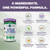 Vital Planet - Vital Gut Renew Powder Supplement for Leaky Gut Repair with L-Glutamine, Marshmallow and Ginger Root, DGL Licorice Root and Organic Aloe Vera, L Glutamine 6000mg 13.76 oz view 3