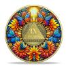 9 Year Sobriety Coin Gifts Set | Sunflower & Butterfly Design AA Chip Medallion with Coin Capsule | Sobriety Gifts for Anniversary Month & Year for Men & Women in Recovery view 1