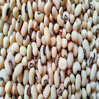 Fresh Dry Black Eyed Beans By RawJoy | Organic Fresh Black Eyed Beans, 10 Pound (Pack of 1)