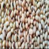 Fresh Dry Black Eyed Beans By RawJoy | Organic Fresh Black Eyed Beans, 10 Pound (Pack of 1) view 1