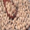 Fresh Dry Black Eyed Beans By RawJoy | Organic Fresh Black Eyed Beans, 10 Pound (Pack of 1) view 2