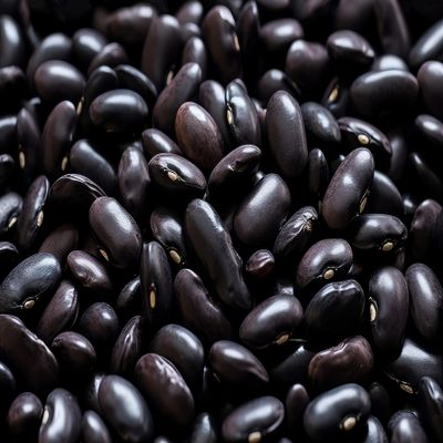 Fresh Black Beans By RawJoy | Organic Fresh Black Beans, 10 Pound (Pack of 1)
