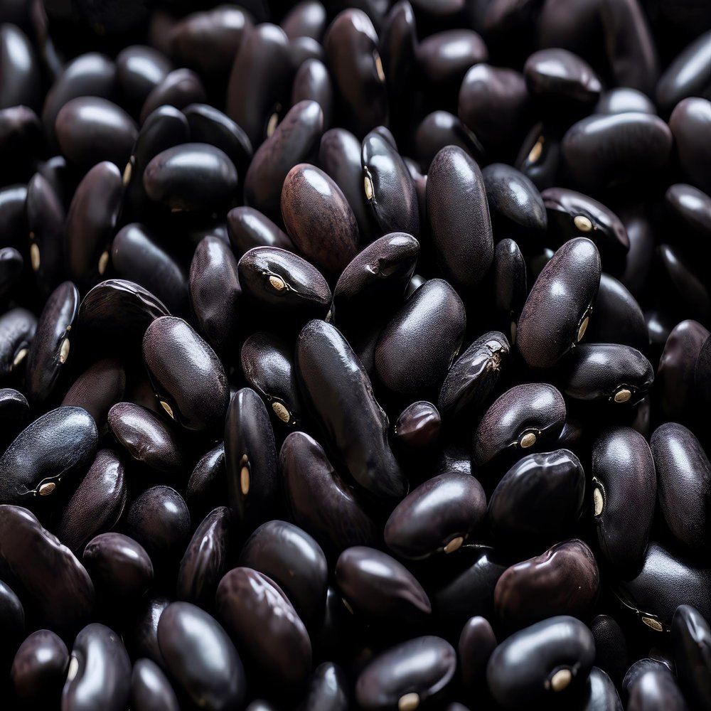 Fresh Black Beans By RawJoy | Organic Fresh Black Beans, 10 Pound (Pack of 1)