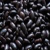Fresh Black Beans By RawJoy | Organic Fresh Black Beans, 10 Pound (Pack of 1) view 1