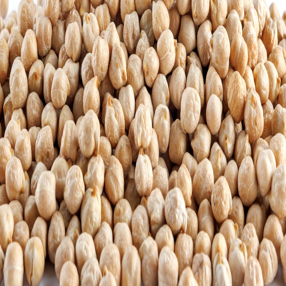 Fresh Garbanzo Bean By RawJoy | Organic Fresh Garbanzo Beans Bulk- 10 Pound