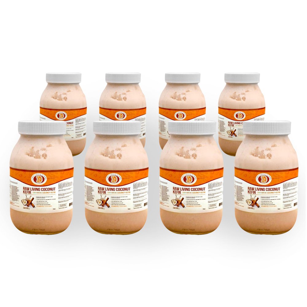 Cinnamon Coconut Kefir  Probiotic-Rich Fermented Drink for Gut Health & Digestion  Organic, Vegan, Low Sugar  5-Day Cultured Process | Full Case | by This Chick is Raw