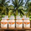 Cinnamon Coconut Kefir  Probiotic-Rich Fermented Drink for Gut Health & Digestion  Organic, Vegan, Low Sugar  5-Day Cultured Process | 1 Gallon | by This Chick is Raw view 4