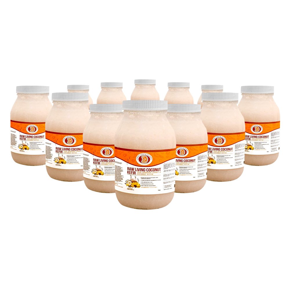 Local Thai Banana & Organic Vanilla Raw Living Coconut Kefir  5-Day Fermented, Vegan, Probiotic-Rich Gut & Detox Support (Full Case) | by This Chick Is Raw