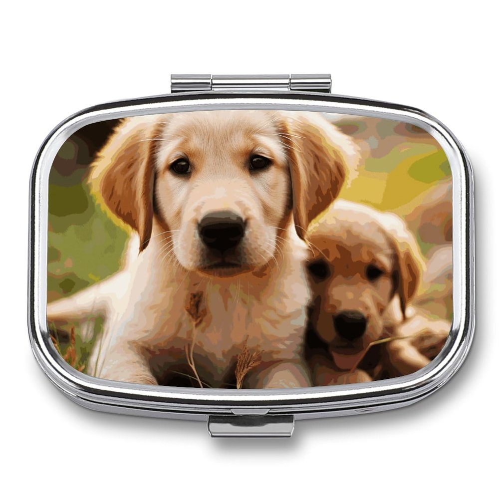 Pill Box 2 Compartment Small Pill Case for Purse & Pocket Cute Golden Retriever Puppy Square Pill Box Cute Vitamins Fish Oil Supplements Oil Storage Box Portable Pill Containe Travel Gift