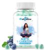 Acetyl L-Carnitine Supplement 1000MG Gummies - Sugar Free Alcar L-Carnitine Gummies for Men Women Support Muscle Endurance Brain Health Energy Metabolism - Vegan Non-GMO Blueberry Flavored 60CT view 1