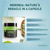 PADMURA Organic Moringa Oleifera Leaf Powder Capsules 1000mg - for Immune Support, Lactation Support & Skin Health | USDA Organic Certified | Non GMO | Gluten Free | Vegan - 120 Veg Capsules view 3