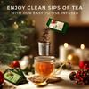 Gya Tea Co 14 Flavors Merry Tea Gift Set Variety Pack (28 Packs) - Assorted Loose Leaf Tea Sampler for Warm Holidays - Get Well Gifts With Infuser & Spoon view 3