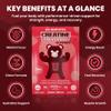 Big Bear Bites Creatine Monohydrate Gummies for Men & Women | 5000mg of Creatine Gummies per Serving | Sugar, Gluten Free & Halal | Pack of 90 for Pre Workout & Muscle Recovery | Watermelon Flavor view 4