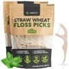 Dental Floss Picks - Straw Wheat Handle Flossers | Thin & Shred-Resistant Thread for Tight Gaps | Flossers for Adults | Gentle on Gums & Teeth (100 Pack, Mint) view 1