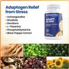 BioMatrix Adaptogen Supplement w/Ashwagandha, L-Theanine, Rhodiola, Ginseng | Cortisol Support, Stress Relief, Focus, Mood | 60 Capsules view 3