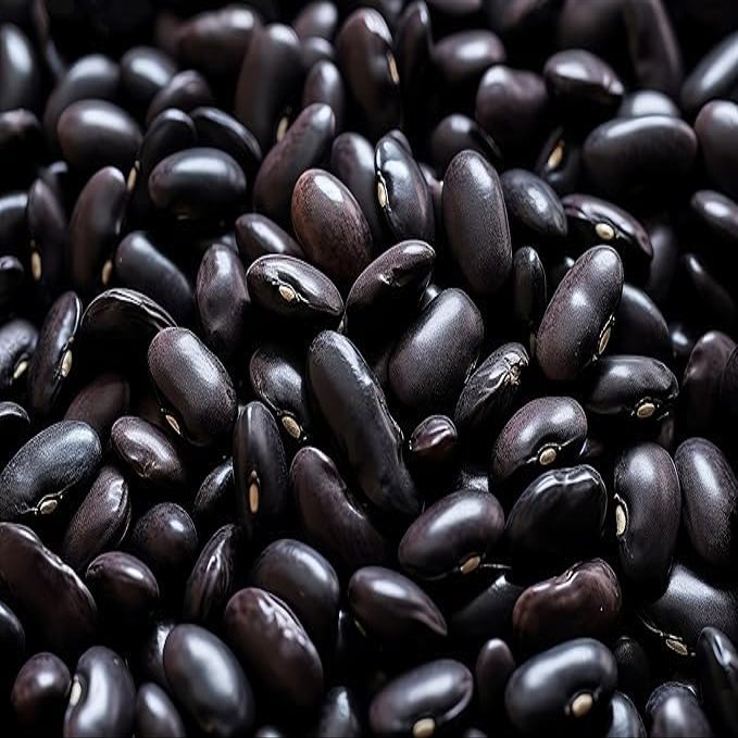 Fresh Black Beans By RawJoy | Organic Fresh Black Beans