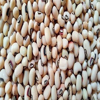 Fresh Dry Black Eyed Beans By RawJoy | Organic Fresh Black Eyed Beans