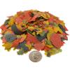 Aquatic Foods Inc. Premium Marine Fish Flakes with Algaes, Sea Weeds and Nori for Clown Fish, Tangs, Butterflies, AngelsAFI...1-lb view 1