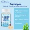 andmino L-Lysine Gummies 1000 mg, with Trehalose, L Lysine Gummies for Lips & Oral Wellness, Immune Support & Collagen & Calcium, for Adults & Kids, Non-GMO, Vegan, Gluten Free, Berry Flavor, 60 view 4