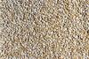 Fresh White Quinoa By RawJoy | Organic Fresh White Quinoa Beans, 50 Pound view 2