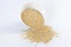Fresh White Quinoa By RawJoy | Organic Fresh White Quinoa Beans, 50 Pound view 3