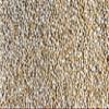 Fresh White Quinoa By RawJoy | Organic Fresh White Quinoa Beans, 15 Pound view 2