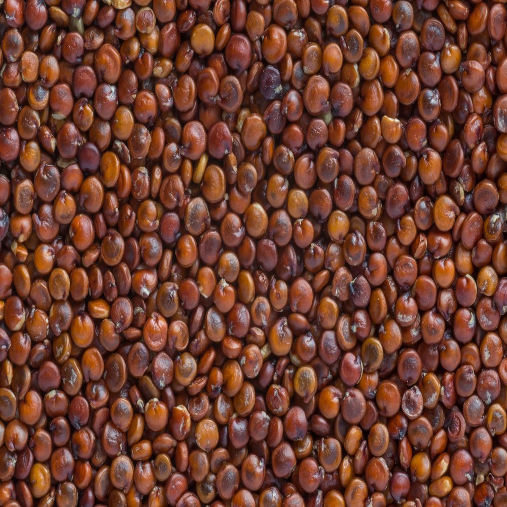 Fresh Red Quinoa By RawJoy | Organic Fresh Red Quinoa Beans, 15 Pound