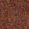 Fresh Red Quinoa By RawJoy | Organic Fresh Red Quinoa Beans, 15 Pound view 1