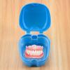 Beuiouer Denture Case, Denture Cup with Strainer, Denture Bath Box False Teeth Storage Box with Basket Net Container Holder for Travel view 4