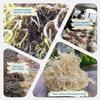 Lam Hong Sea Moss Dried 8oz  Make own Sea Moss Gel Organic Raw, Add to Salad, Sun-Dried, Wild Harvested for High Expansion & Natural Flavor, Iodine & Minerals, Supports Wellness, Vietnamese Sea Moss. view 2