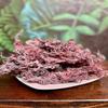 Raw Sea Moss Wildcrafted Full Spectrum 100% Natural from St. Lucia | Shade-dried | Use to make sea moss gel | Bulk (8 Ounce) view 3