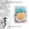 Raw Sea Moss Wildcrafted Full Spectrum 100% Natural from St. Lucia | Shade-dried | Use to make sea moss gel | Bulk (8 Ounce) view 4