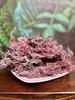 Raw Sea Moss Wildcrafted Full Spectrum 100% Natural from St. Lucia | Shade-dried | Use to make sea moss gel | Bulk (16 Ounce) view 3
