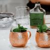 Cocktail Crate Premium Ginger Mule Drink Mixer | Award Winning Craft Cocktail Mixers for True Connoisseurs | Premium Cocktail Syrup Creations with Aromatic Bitters, Demerara Sugar | 12oz - 2 pack view 2