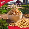 GIANTS Snacks Cashews Variety Pack - Cashews Individual Packs, Cashews Roasted Lightly Salted, Individual Cashew Snack Packs, Whole Salted Cashew Nuts, Flavored Cashews - 4 oz (Pack of 4) view 3