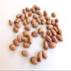 Fresh Pinto Beans By RawJoy | Organic Fresh Pinto Beans Bulk view 3