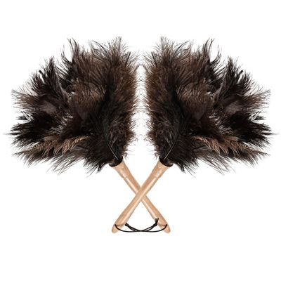 16 Inch Ostrich Feather Duster with Wooden Handle for Eco Friendly Cleaning of Delicate Items Antiques and Electronics Ideal for Home Office and Car 2 Pack