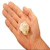 Kidz Rocks Albite on Microcline 2" 2-4 Oz Raw Rock Mineral Specimen view 3