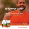 Host Defense Bundle with Cordyceps Capsules, 120 Count & Lion's Mane Capsules, 30 Count - Support Immune Health & Energy - Support Brain Health, Memory & Focus* view 3