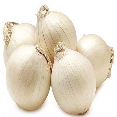 NineLife Basics White Onions, Fresh Produce, USA - California Grown, Non-Gmo, produce (1 Pounds)