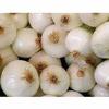 NineLife Basics White Onions, Fresh Produce, USA - California Grown, Non-Gmo, produce (1 Pounds) view 3