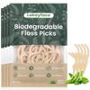 200 Count Biodegradable Dental Floss Picks, Eco Friendly Plant-Based Tooth Flossers for adults, Tear-Resistant Floss Sticks with Wide Handles, Vegan & BPA Free Dental Floss for Natural Oral Care, Mint view 1