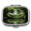 Square Pill Box Gator Lurking Green Pill Case 2 Compartment Medicine Pill Organizer for Purse & Pocket Portable Travel Pillbox Medicine Vitamin Cod Liver Oil Storage Box Organizer