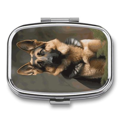 Square Pill Box Dog Pill Case 2 Compartment Medicine Pill Organizer for Purse & Pocket Portable Travel Pillbox Medicine Vitamin Cod Liver Oil Storage Box Organizer
