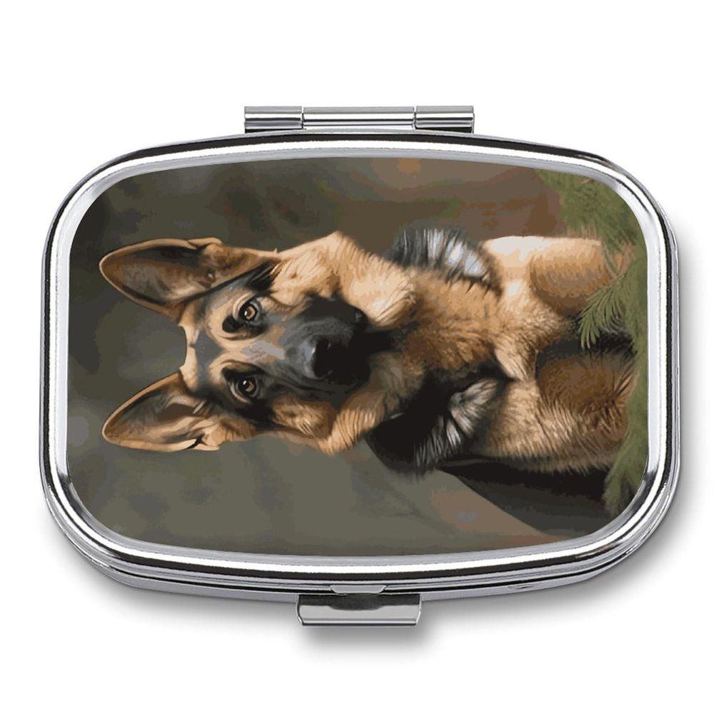 Square Pill Box Dog Pill Case 2 Compartment Medicine Pill Organizer for Purse & Pocket Portable Travel Pillbox Medicine Vitamin Cod Liver Oil Storage Box Organizer