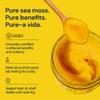GO/TU Sea Moss Gel Pineapple 8oz Wildcrafted in St. Lucia, Made in Costa Rica, Ministry of Health Certified Gut, Skin, Immunity Support, Energy Boost, Vegan, Non-GMO, No Preservatives view 4
