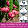 KAMVIVA Vietnam's Freeze Dried Dragon Fruit, 227g/8.0 Oz, 100% Natural, Red Pitaya Dry Pieces, Dragonfruit Cubes, No Sugar Added, Non GMO, Gluten Free, Great for Snack, Drinks, Cereal, Yogurts, Chips view 4
